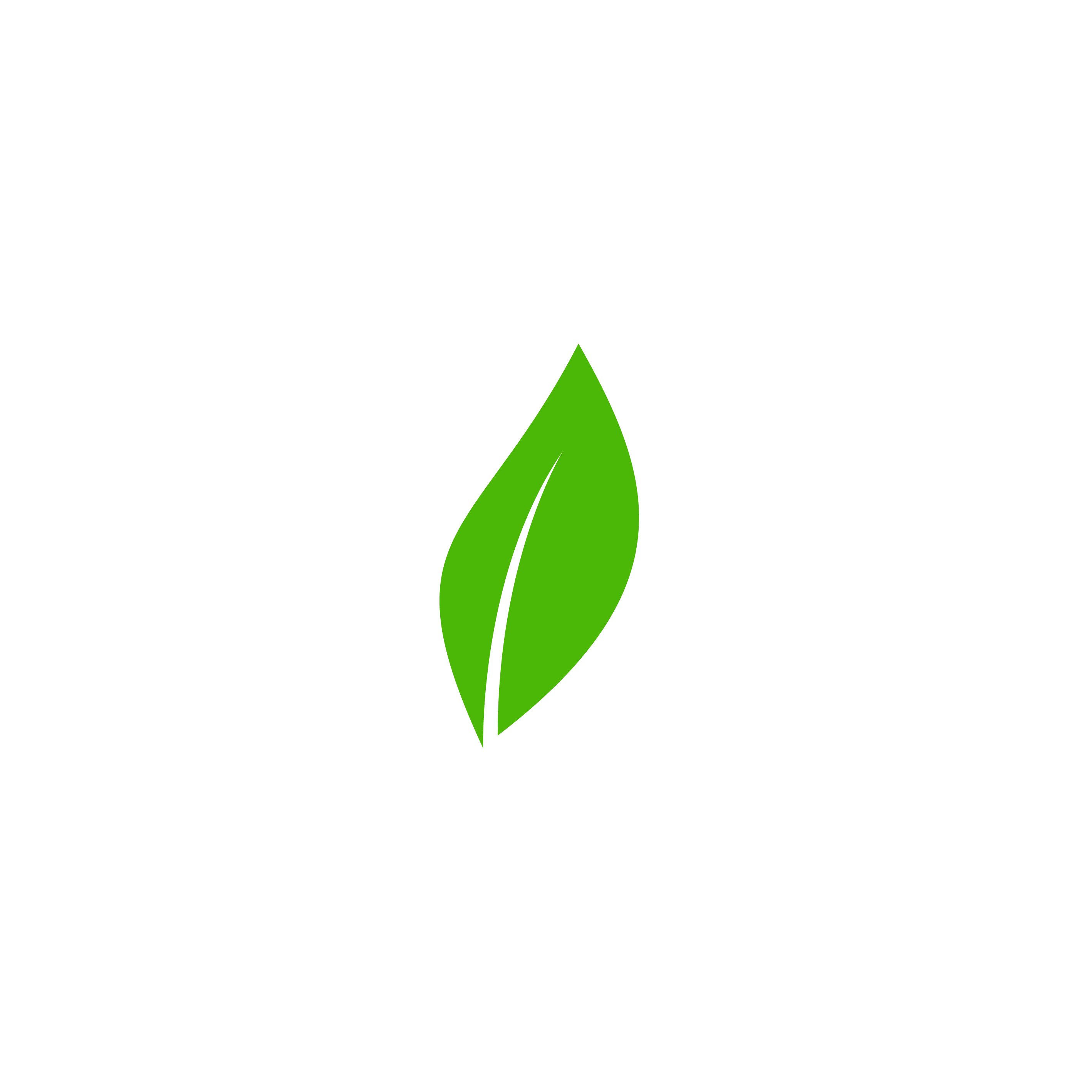 Bliss Eco Energy Ltd